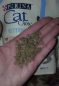 Отзыв о сухом корме для кошек Cat Chow