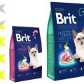 Корм для кошек Brit Premium (Чехия): отзывы и разбор состава