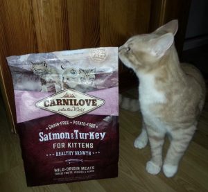 Отзыв о корме для котят Carnilove