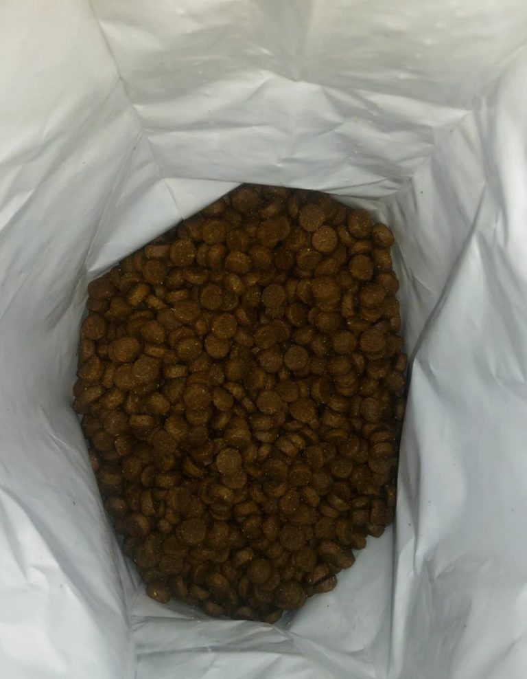 Корм для кошек Organix: отзывы и разбор состава - ПетОбзор