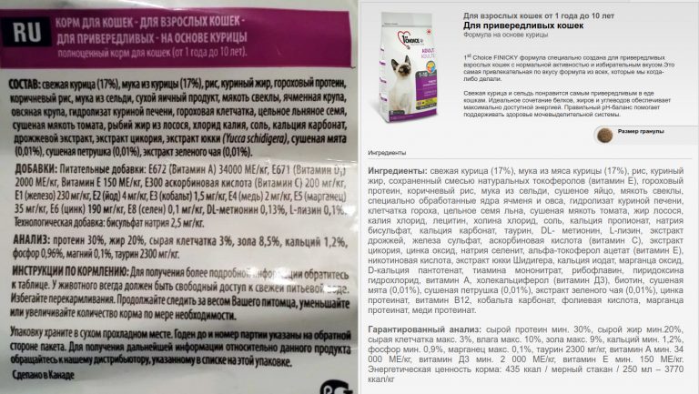 Корм для кошек 1st Choice: отзывы и разбор состава - ПетОбзор