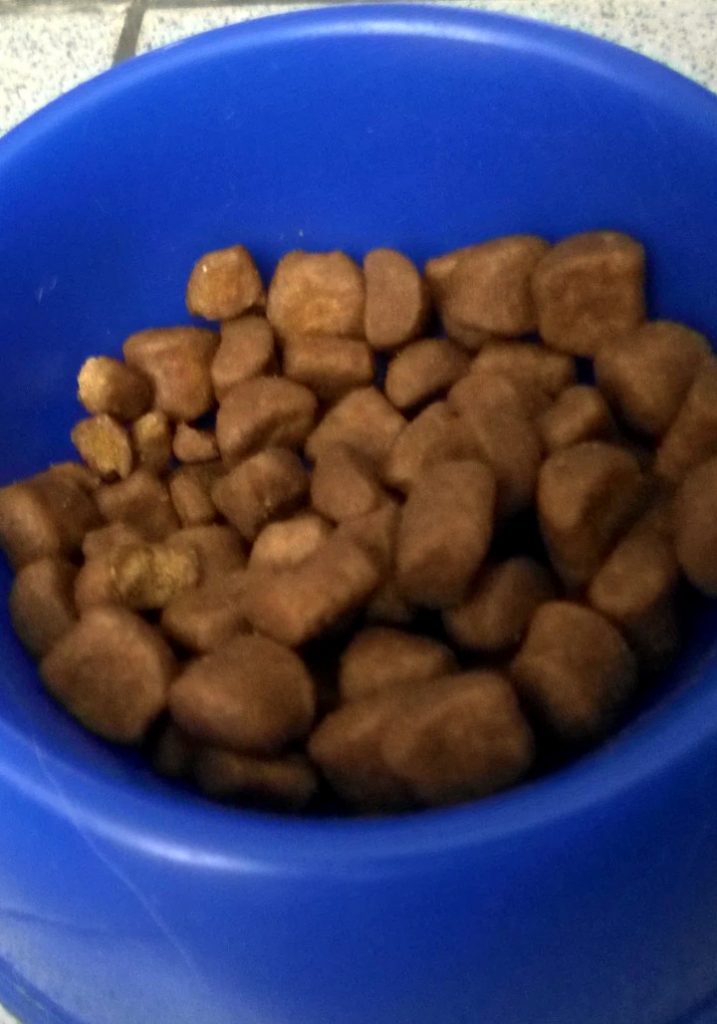 Корм для кошек Royal Canin: отзывы и разбор состава - ПетОбзор