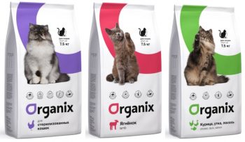 Корм для кошек Organix: отзывы и разбор состава - ПетОбзор