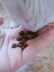 Гранулы корма для кошек Пробаланс