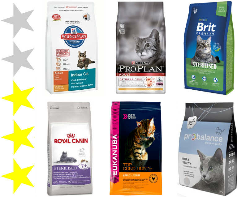 Корм для кошек при аллергии у человека: выбор качественного корма для вашего питомца