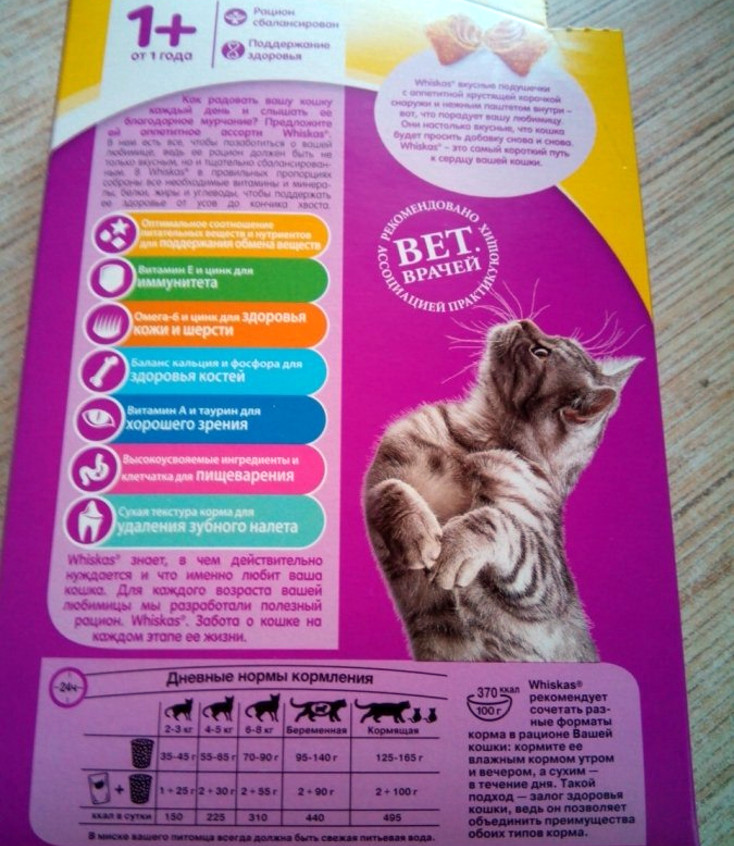 Как правильно кормить котят и кошек