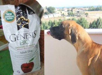 Отзывы о корме Genesis для собак