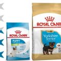 Корм для собак Royal Canin: отзывы и разбор состава