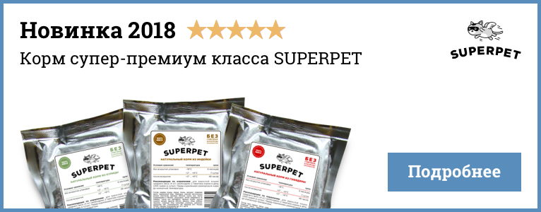 Рейтинг кормов для кошек 2018 (по качеству) - ПетОбзор