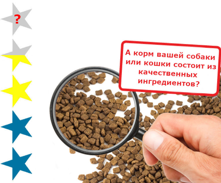 Можно ли кормить собаку кормом для кошек? | Royal Canin