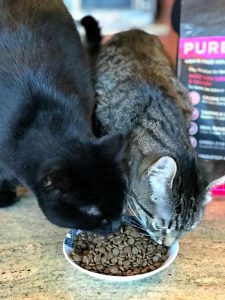Гранулы корма для кошек PureLuxe