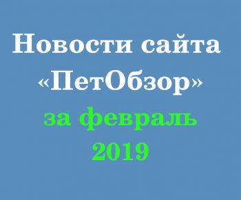 Новости сайта ПетОбзор за февраль 2019