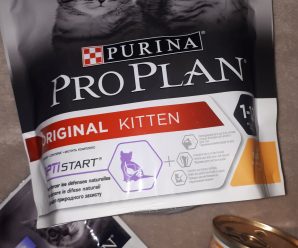 Лучший корм для котят Purina Pro Plan