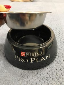 Набор кормов для котенка Purina Pro Plan