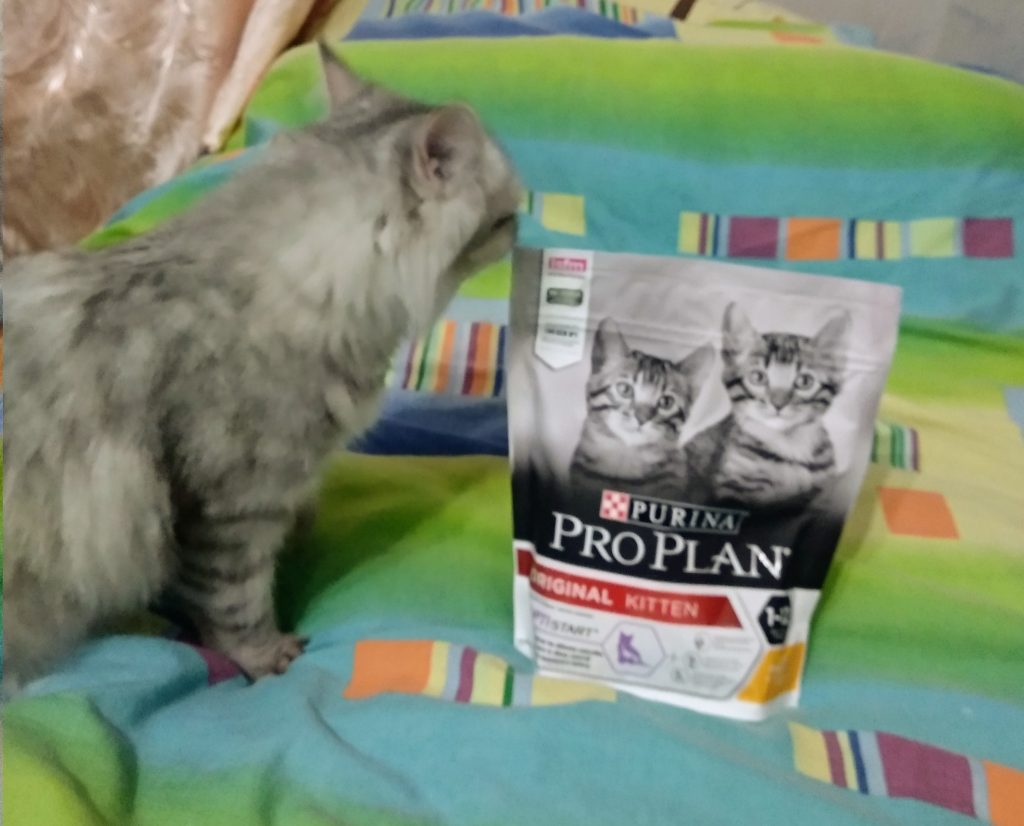Отзыв о корме для котят Purina Pro Plan
