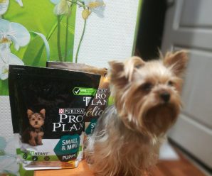 Purina Pro Plan Dog Small & Mini Puppy