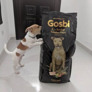 Отзывы о корме Gosbi Exclusive для собак