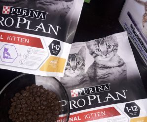 Purina Pro Plan Optistart для котят