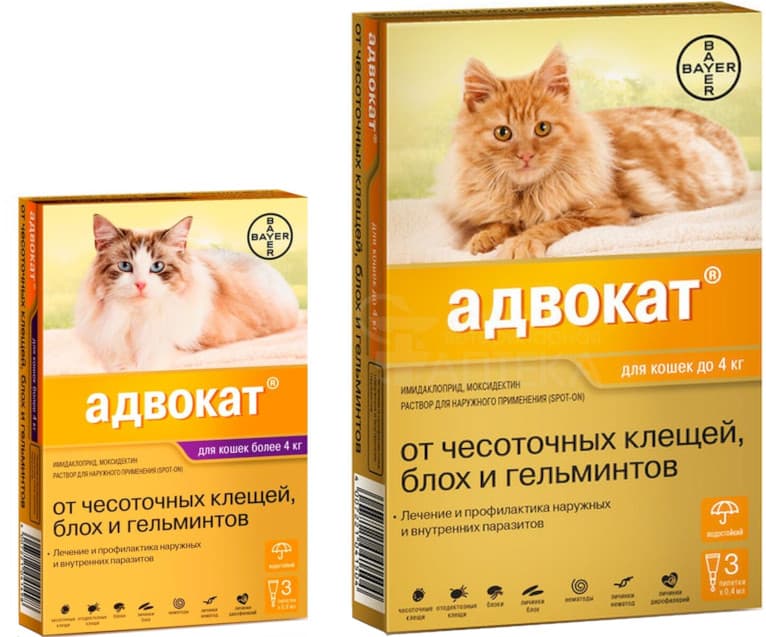 Капли Адвокат для кошек: отзывы, инструкция по применению - ПетОбзор