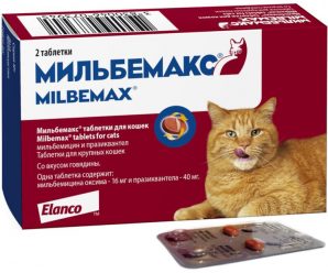 Мильбемакс для кошек: отзывы, инструкция, цена