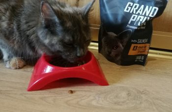 Отзыв о корме для кошек Grand Prix