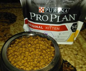 Сухой корм для котят Purina Pro Plan Original