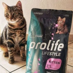 Отзыв о корме для кошек Prolife