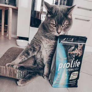 Отзыв о корме Prolife для стерилизованных кошек