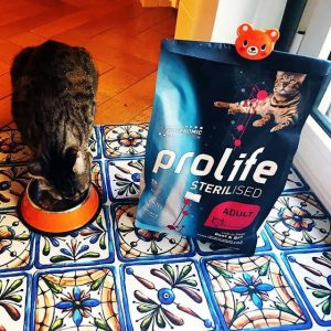 Отзывы о корме для кошек Prolife