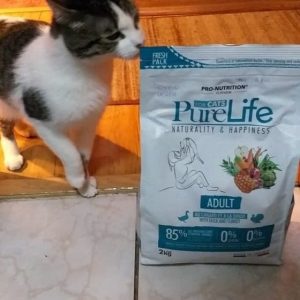 Отзывы о корме для кошек Pure Life