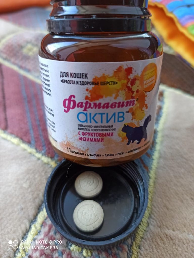 Витамины Фармавит Актив для кошек: отзывы, инструкция, цена - ПетОбзор