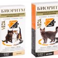 Витамины «Биоритм» для кошек: отзывы, инструкция, цена