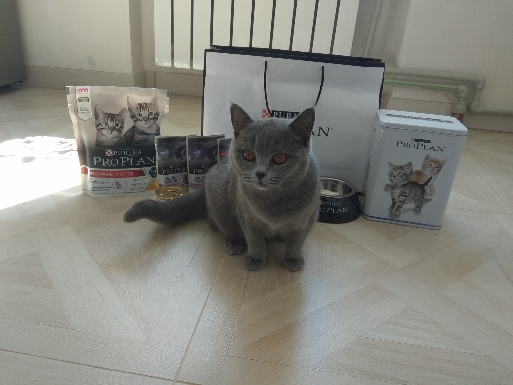 Корм для котят PURINA PRO PLAN KITTEN - ПетОбзор