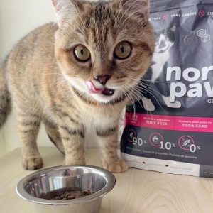 Отзывы о сухом корме для кошек North Paw