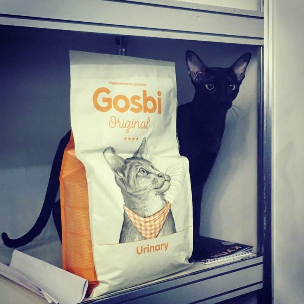 Корм для кошек Gosbi Original: отзывы, разбор состава, цена - ПетОбзор
