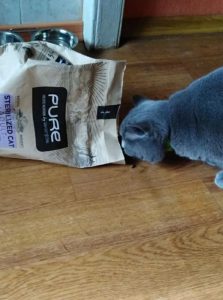 Отзыв о корме для кошек Pure by Avantis