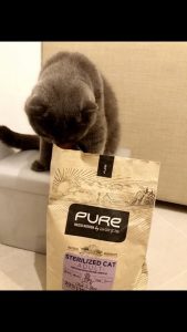 Отзыв о Pure by Avantis корме для кошек