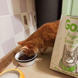 Отзывы о корме для кошек Gosbi