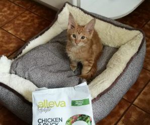 Alleva Holistic Chicken and Duck plus aloe vera and ginseng