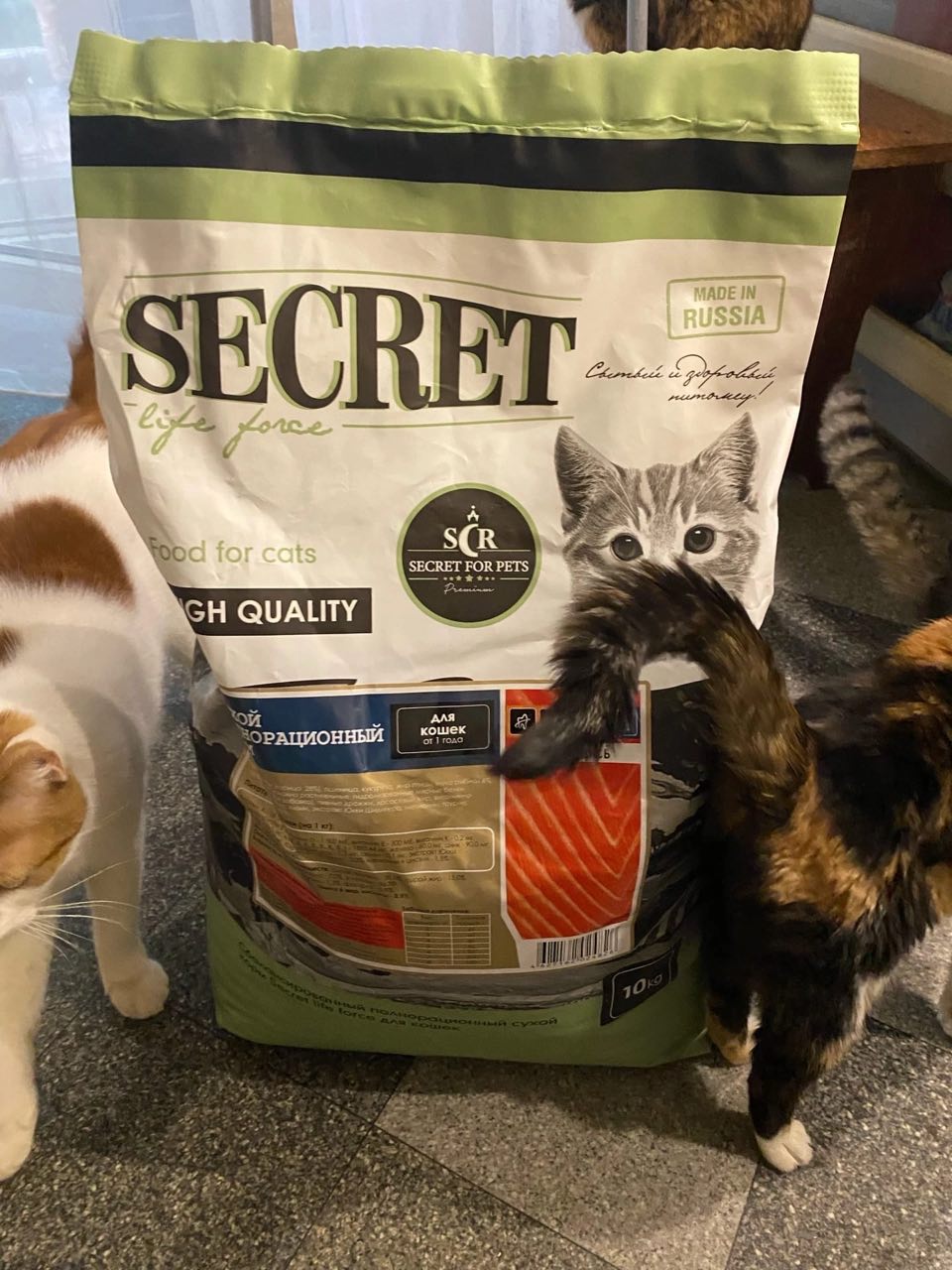Cats secret
