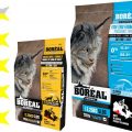 Корм для кошек Boreal: отзывы, разбор состава, цена