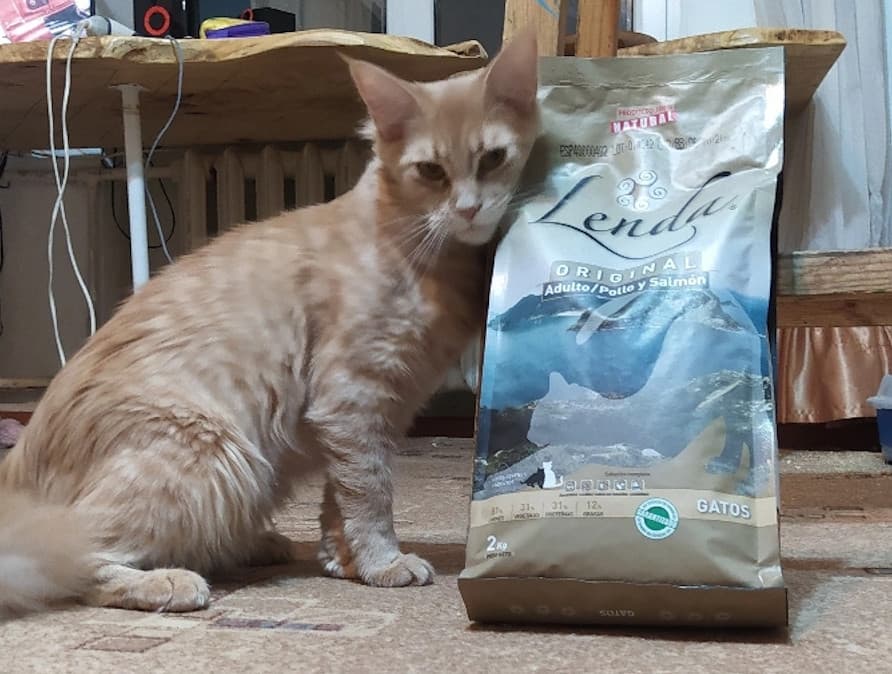 Отзывы о сухом корме для кошек Lenda