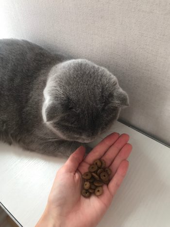 Гранулы корма для кошек Home Food