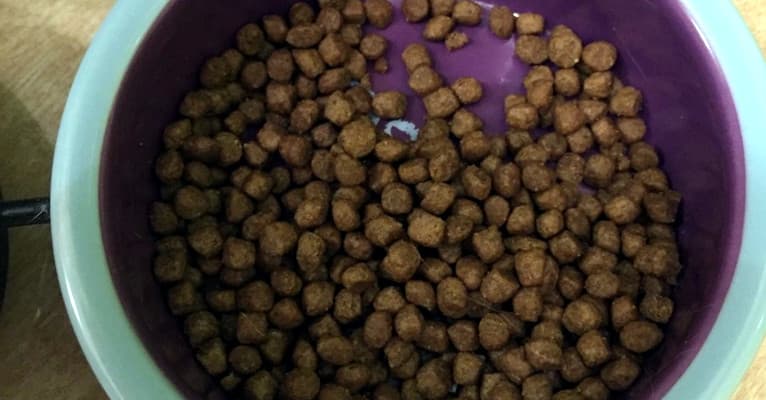 Сухой корм для кошек - гранулы