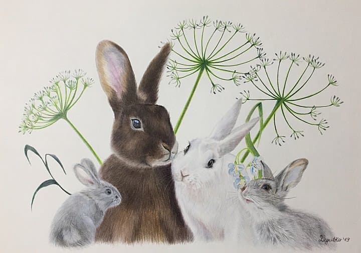 Кроличья семья - рисунок собаки цветными карандашами