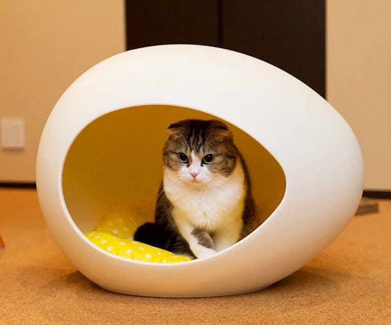 Домик для кошки своими руками — варианты применения в дизайне интерьера и обзор лучших материалов