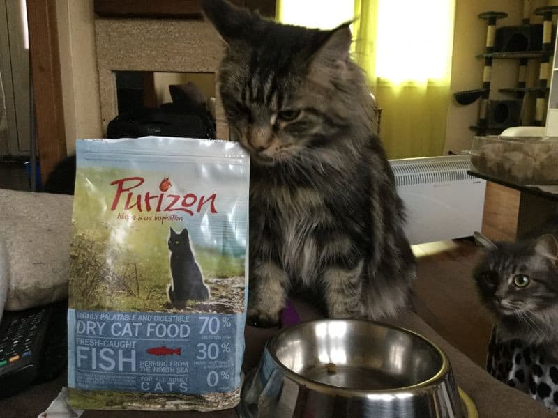 Отзывы о корме для кошек Purizon