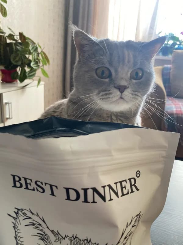 Сухой корм Best Dinner для кошек - отзыв