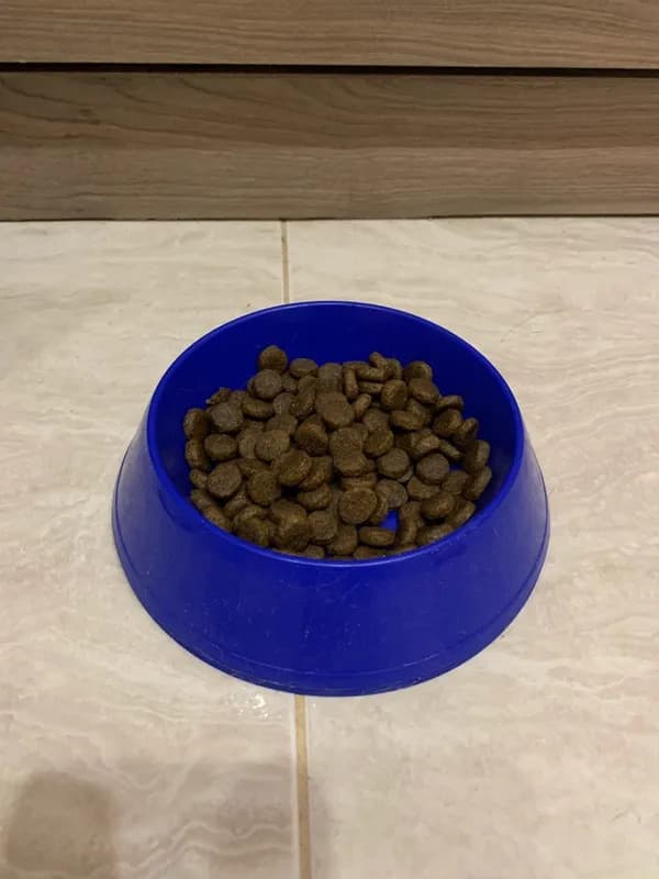 Гранулы корма для кошек Nutro