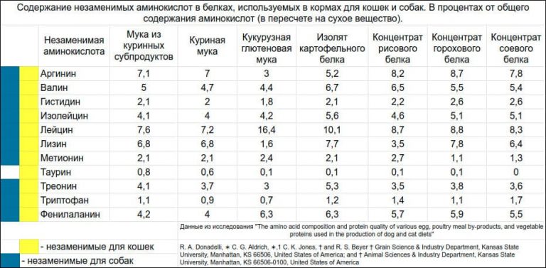Белок в кормах для кошек и собак: общий показатель не главное - ПетОбзор